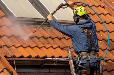 Démoussage et hydrofuge de toiture à Thurins
